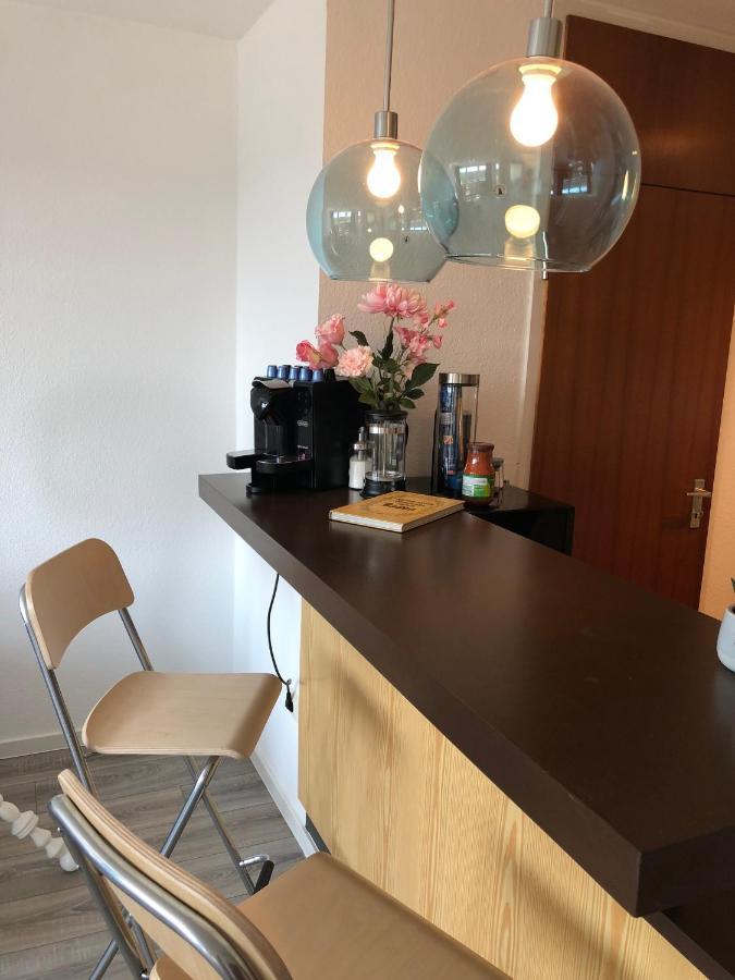 Grosses Appartement Mit Aussichtsbalkon Ludwigsburg Kültér fotó